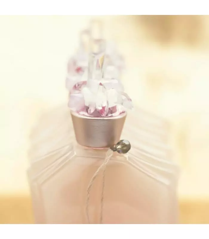 Stella Cadente Miss Me Discrete EDT 1.7 oz - Image 2